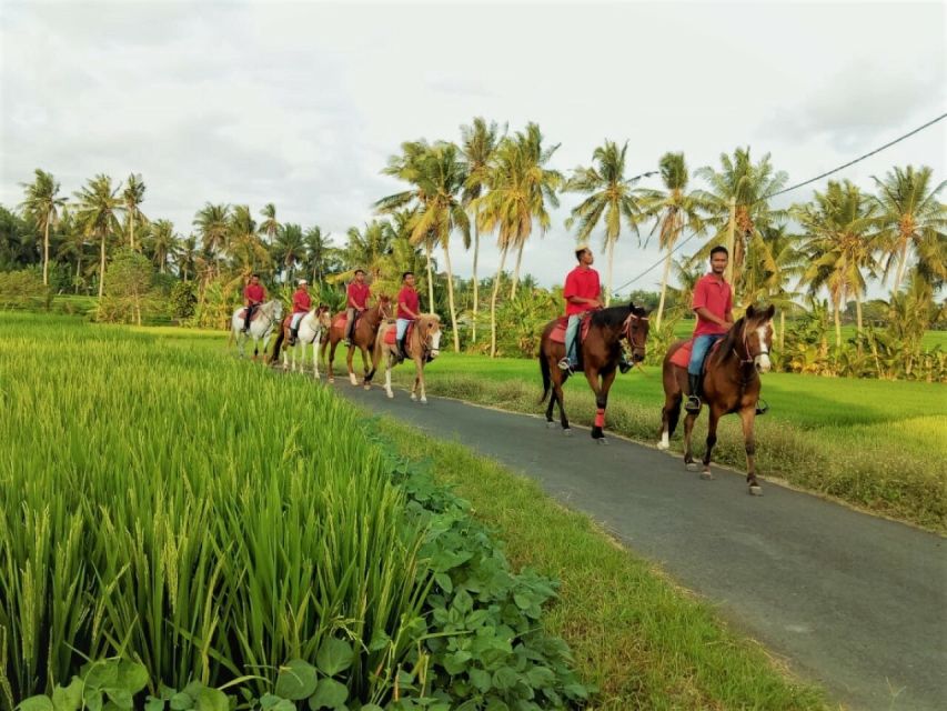 Langudu: Horse Riding on the Beach and in the Rice Fields - Last Words