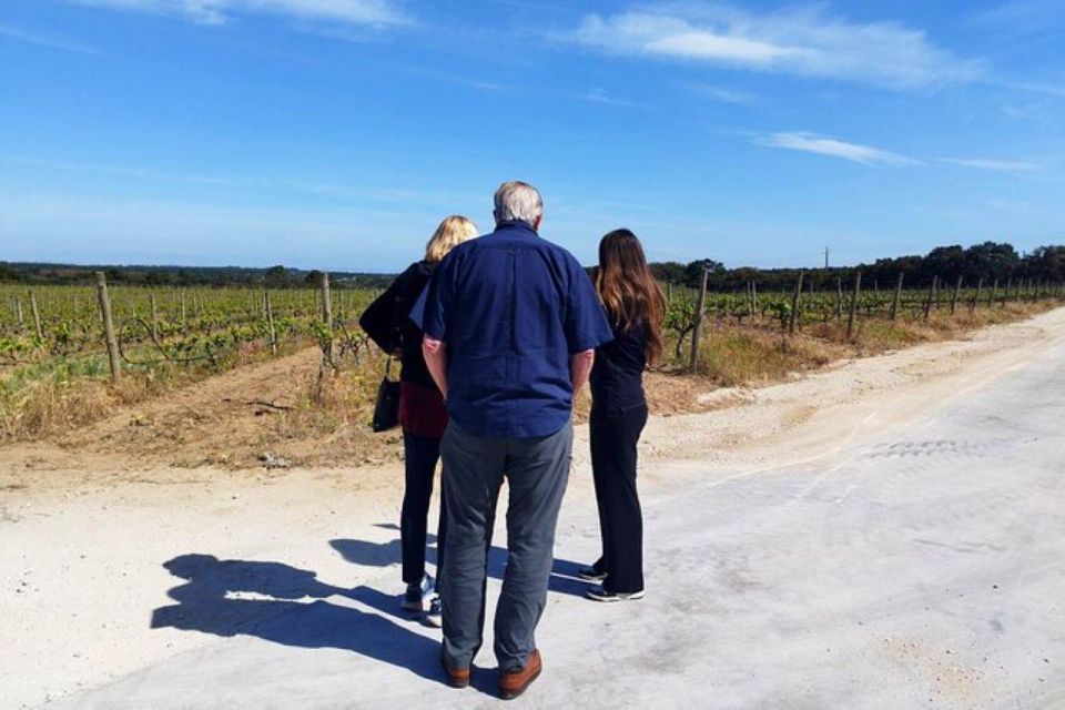 Lisbon: Private Full Day Evora & Alentejo Wine Tour - Key Destinations and Attractions