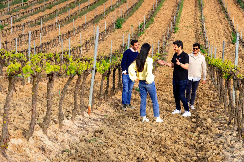 Lisbon: Winery Experience With 4WD Tour and Wine Tasting - Last Words