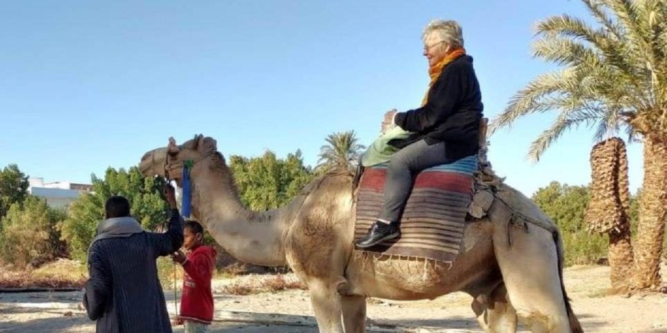 Luxor: Scenic Camel or Horse Ride - Transportation and Drop-off