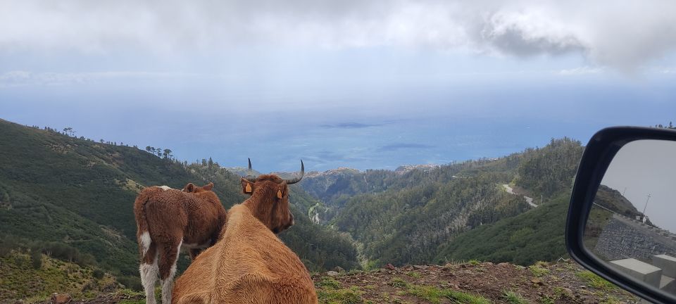 Madeira: 25 Fontes and Risco Levada Hike With Transfers - Last Words