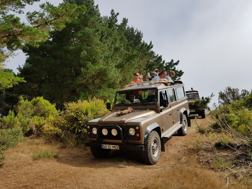 Madeira East or West Private Half-Day Tour by Open-Top Jeep - Common questions