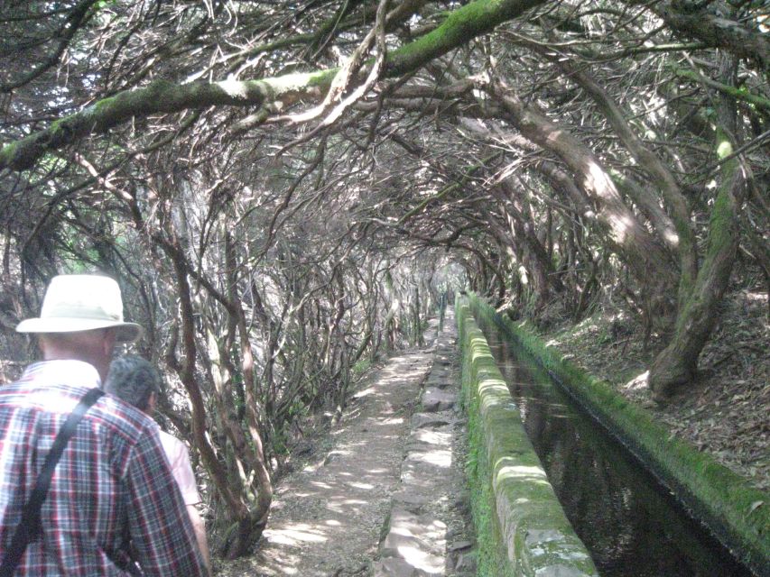 Madeira: Mountain Walk With Lagoon and Waterfalls - Last Words