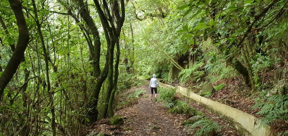 Madeira: Private Jeep 4x4 West Tour to Natural Pools - Visitor Testimonials