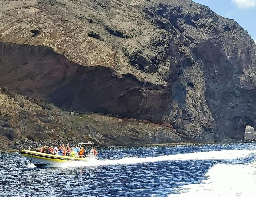 Madeira: Whale and Dolphin Watching Tour - Common questions