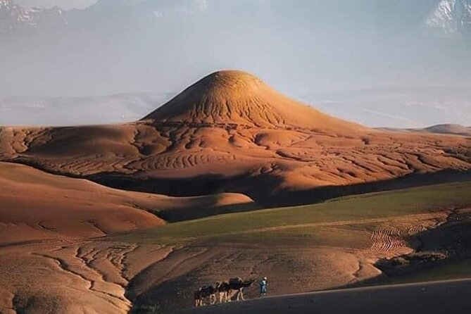 Magical Dinner With Camel Ride at Sunset in Agafay Desert - Details