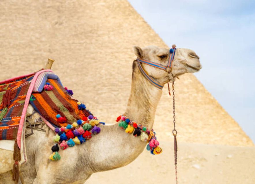 Makadi: Cairo & Giza Ancient Egypt Full-Day Trip by Plane - Common questions