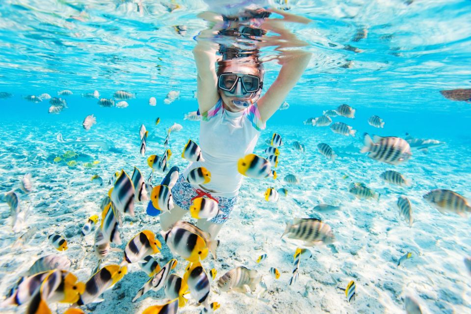 Makadi: Orange Island Snorkeling, Diving, and Water Sports - Last Words