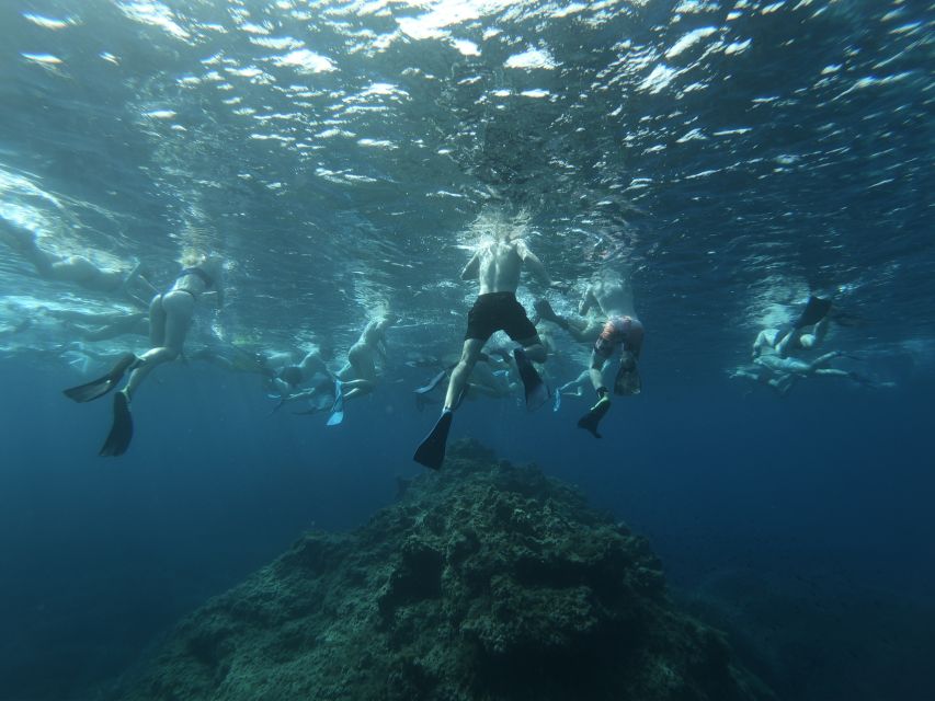 Malta: Snorkeling Tour - Confirmation for Snorkeling Availability