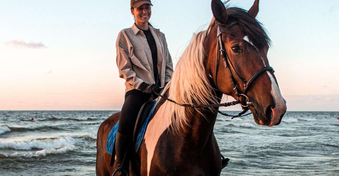 Marsa Alam: Sea and Desert Horse Riding Tour - Last Words