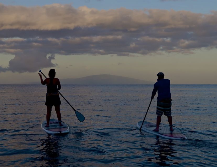 Maui: Beginner Level Private Stand-Up Paddleboard Lesson - Common questions