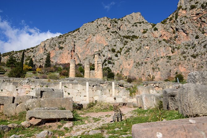 MEET the Oracle! DELPHI Private Day Tour From Athens/Pireaus - Last Words