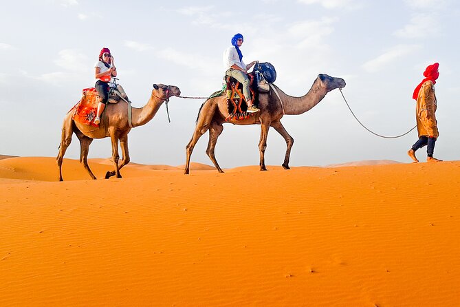 Merzouga Camel Ride & Overnight Desert Camps - Common questions