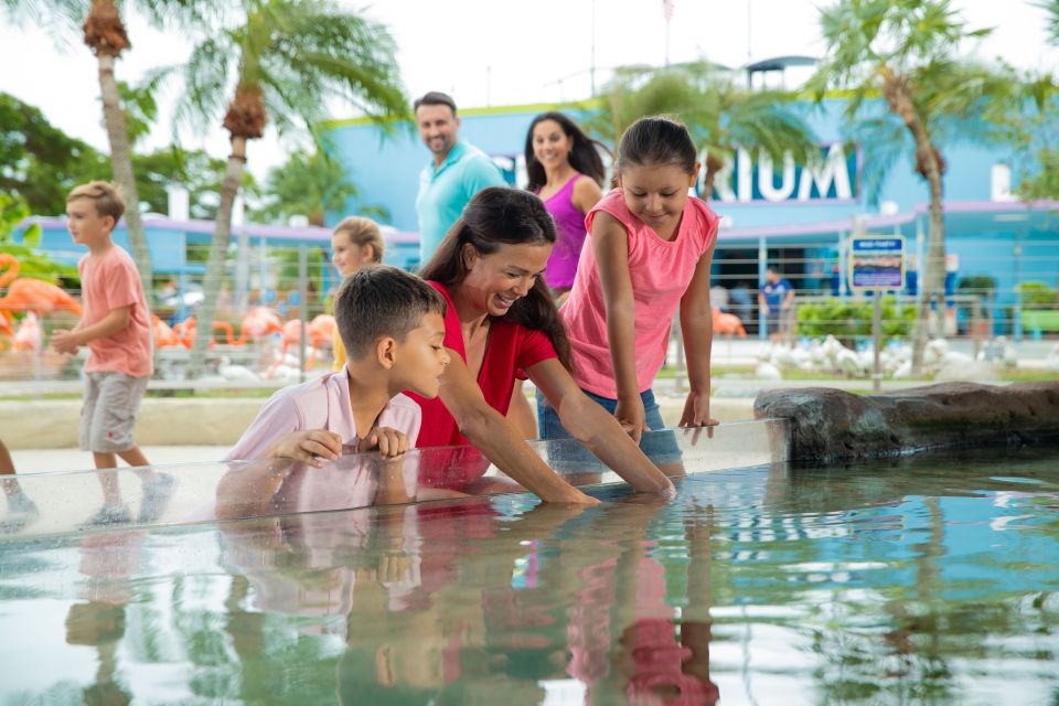 Miami: Swim With Dolphins Experience With Seaquarium Entry - Last Words