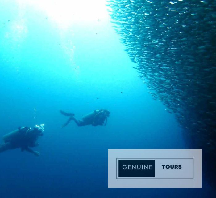 Moalboal: Scuba Diving With the Sardine and Sea Turtles - Unforgettable Moalboal Dive Experience