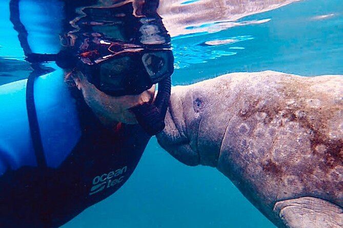 Morning Swim and Snorkel With Manatees-Guided Crystal River Tour - Last Words
