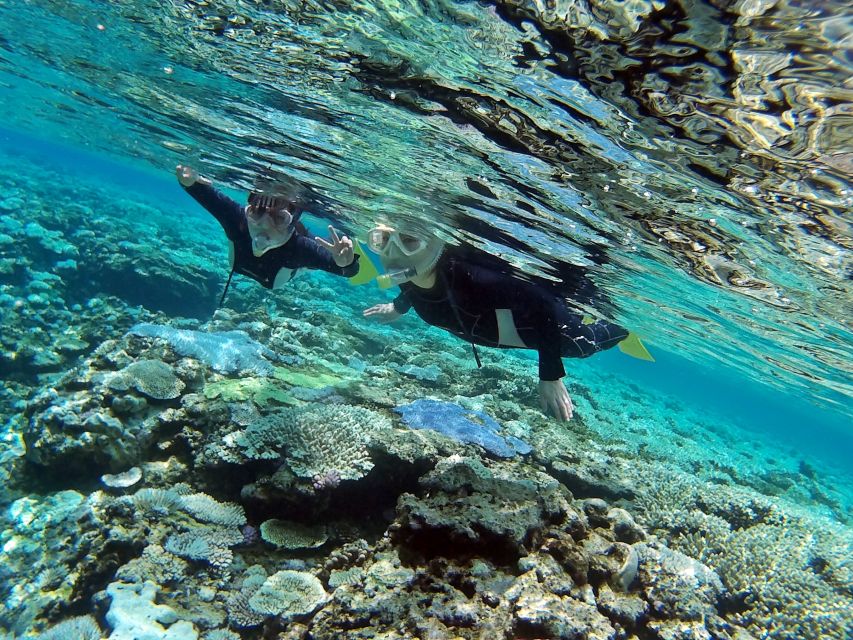 Naha, Okinawa: Keramas Island Snorkeling Day Trip With Lunch - Pickup and Drop-off Service