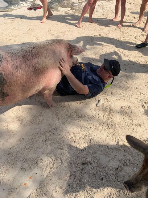 Nassau: Self-Drive Speedboat Ride and Pig Swimming Encounter - Gift Options