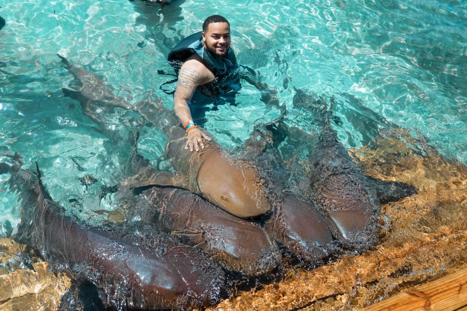 Nassau: Swim With Sharks, Swimming Pigs Tour - Last Words