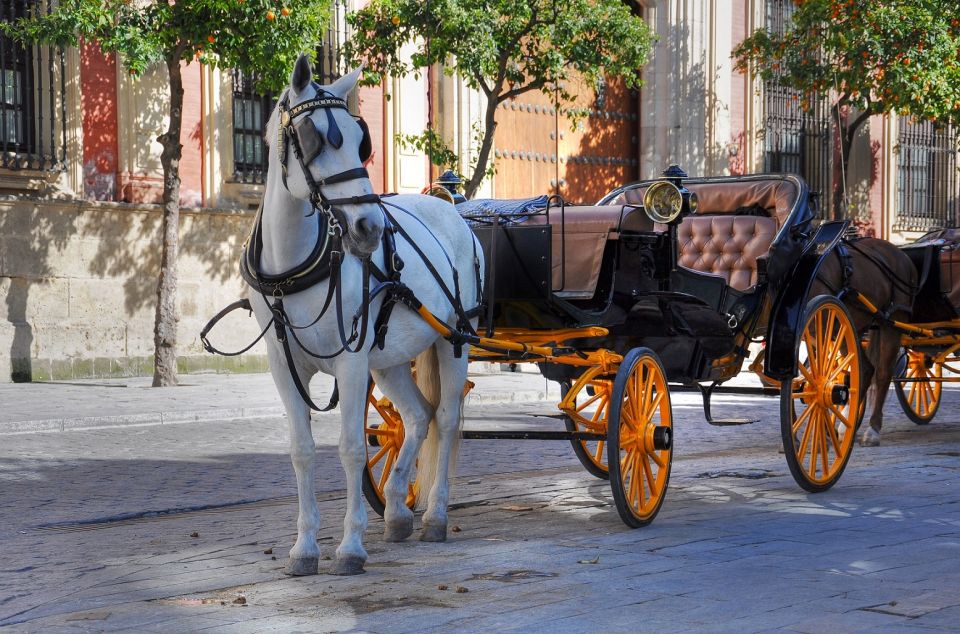 New York: Carriage Ride in Central Park - Additional Information