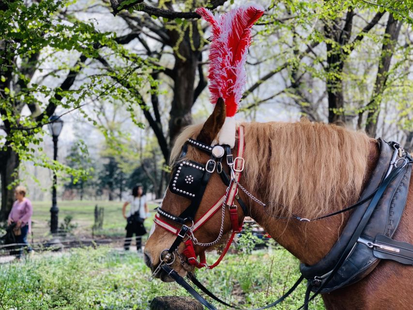 New York City: Central Park Private Horse and Carriage Tour - Common questions