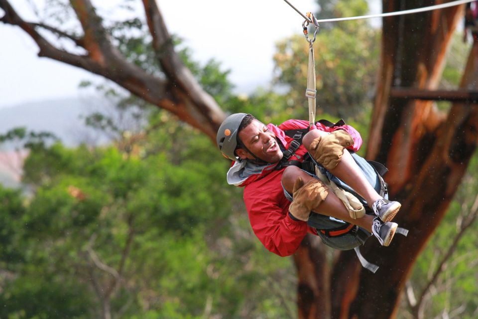 North Maui: 7 Line Zipline Adventure With Ocean Views - Common questions