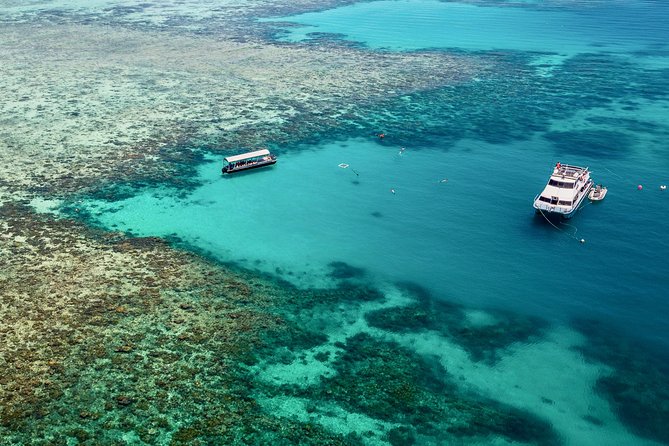 Ocean Freedom Great Barrier Reef Luxury Snorkel & Dive Cruise - Last Words