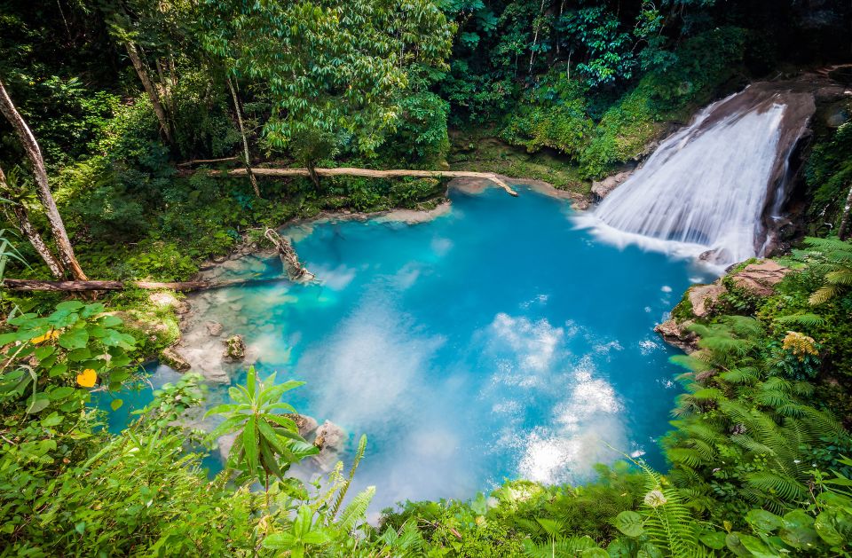 Ocho Rios: Blue Hole, Dunn's River & Reggae Hill Guided Tour - Experience Highlights