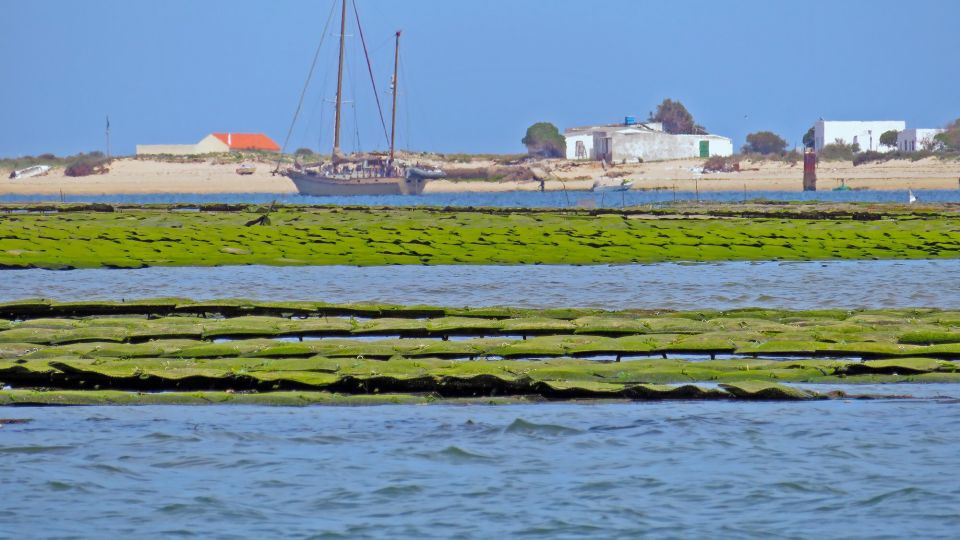 Olhão: Private Boat Tour to Ria Formosa - Refreshments and Amenities