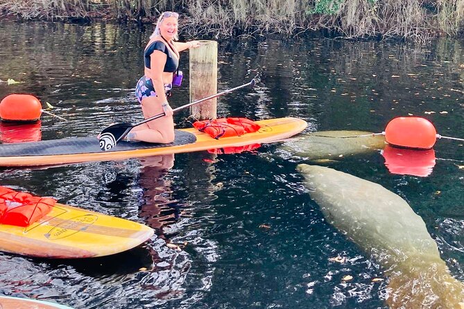 Orlando Manatee and Natural Spring Adventure Tour at Blue Springs - Last Words