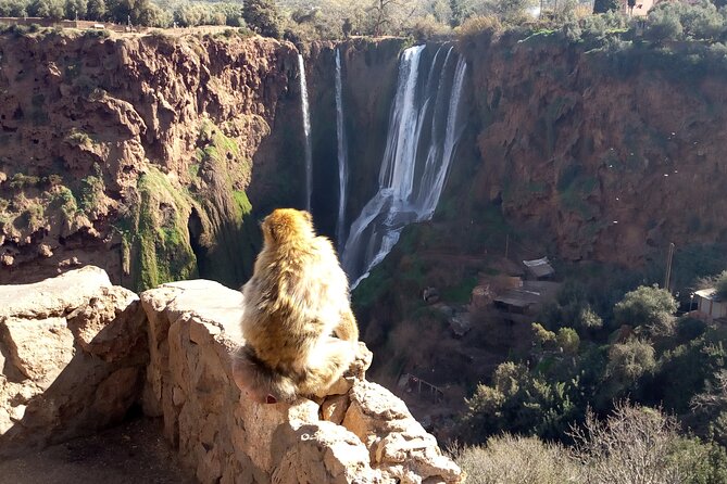 Ouzoud Waterfalls Full Day Trip From Marrakech - Additional Information and Tips