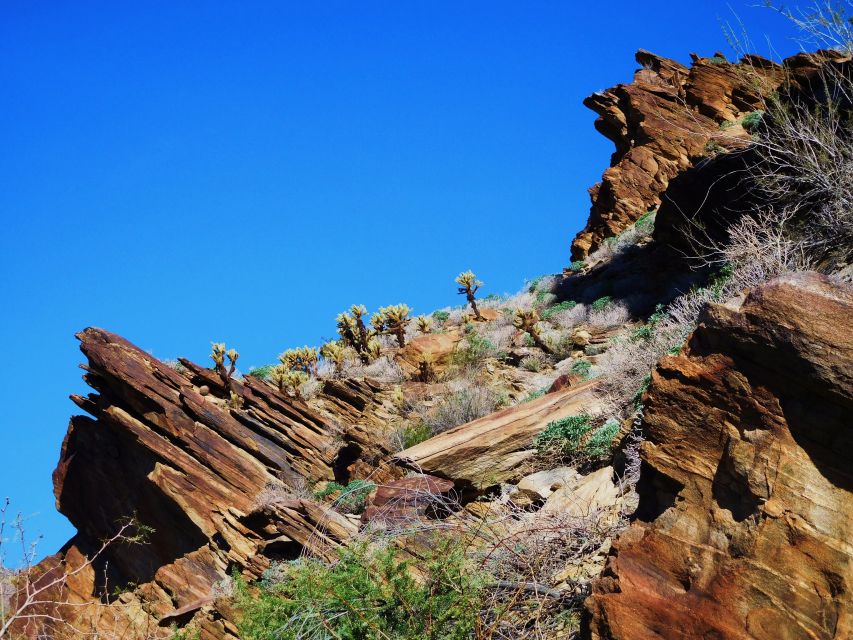 Palm Springs: Indian Canyons Hiking Tour by Jeep - Common questions