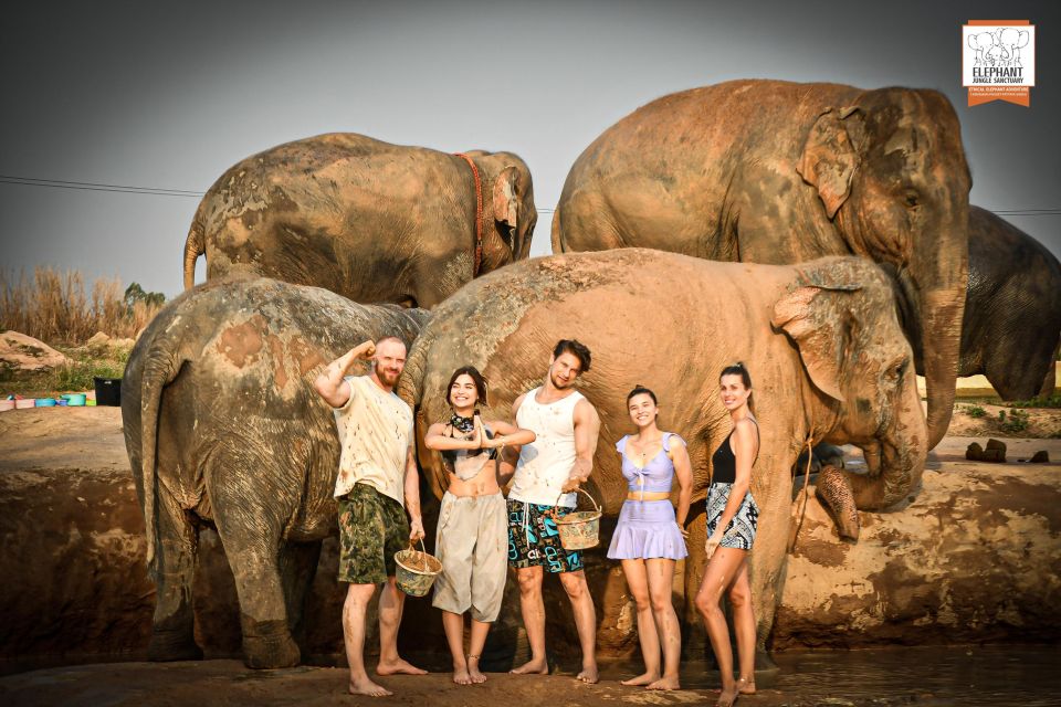 Pattaya: Elephant Jungle Sanctuary Half-Day Tour With Meal - Last Words