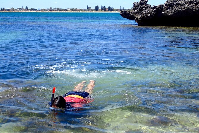 Penguin and Seal Islands Sea Kayaking Experience - Last Words