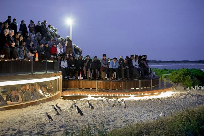 Phillip Island Day Trip From Melbourne With Penguin Plus Viewing Platform - Common questions