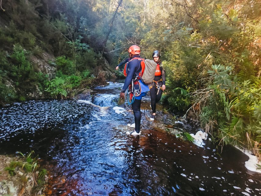 Plettenberg Bay: Canyoning Trip - Exploration: Western Cape and Base Camp