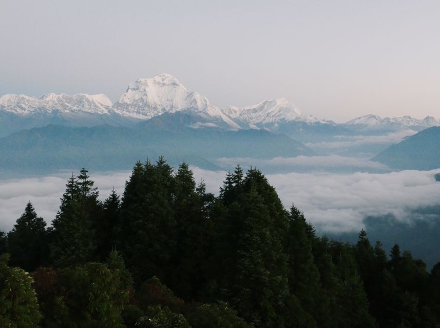 Pokhara:4-Day Ghorepani Poon Hill Guided Trek via Ghandruk - Last Words