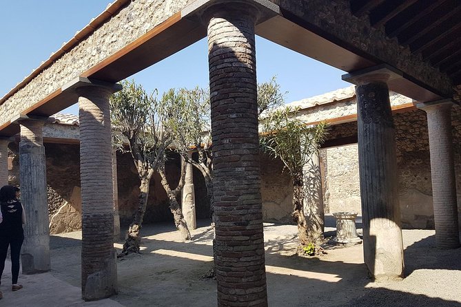 Pompeii and Naples: a Day Tour From Rome With Lunch, Small Group - Additional Resources and Invitations