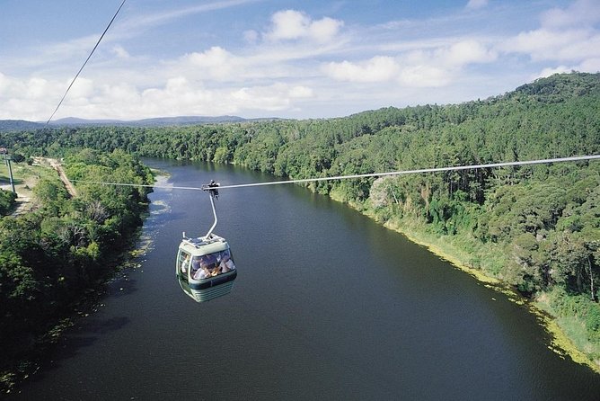 Port Douglas Day Tour: Including Kuranda, Skyrail & Scenic Train - Last Words