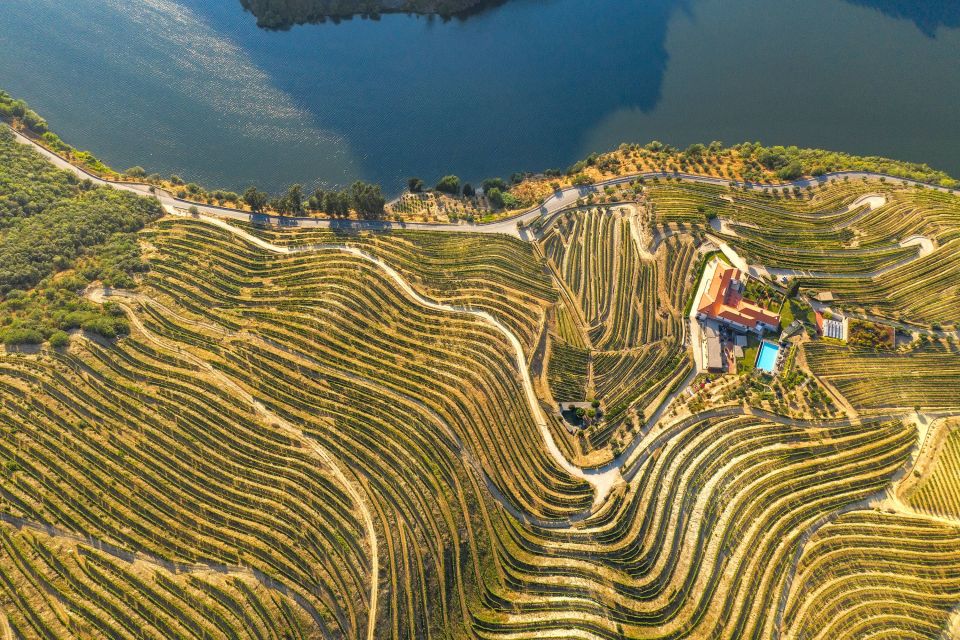 Porto: Douro Valley Tour With Wine Tasting, Cruise and Lunch - Common questions