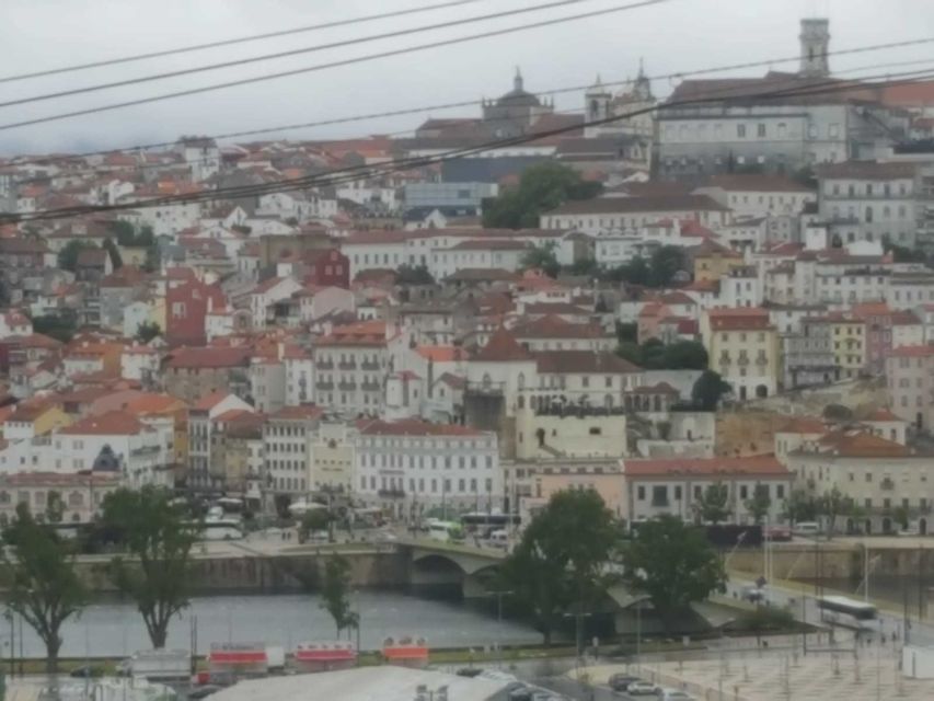 Porto: Half-Day Small Group City Tour - Additional Information