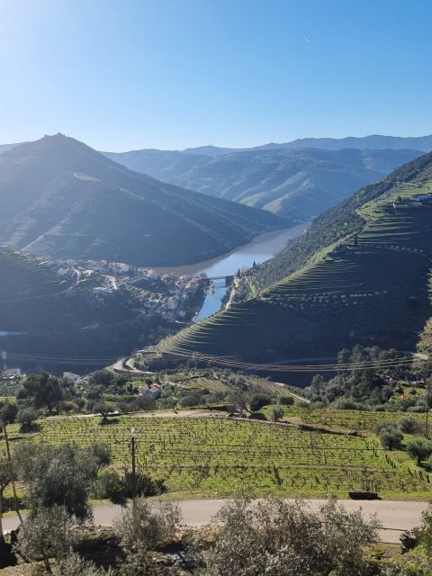 Porto: Private Douro Tour, Premium Cruise, Lunch & Winery - Booking Flexibility and Itinerary Variability