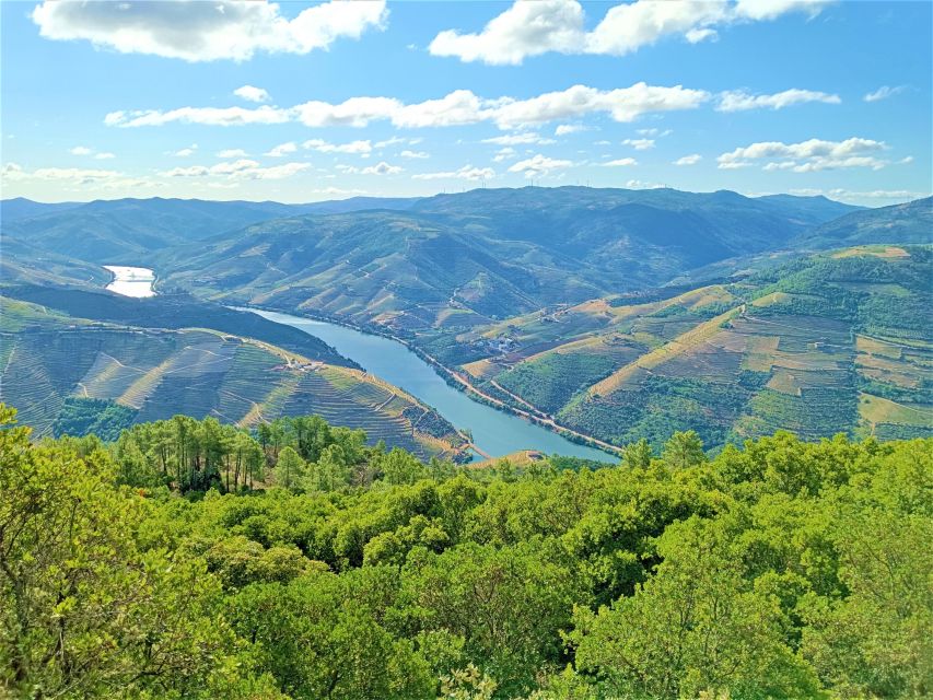 Porto: Private Douro Valley Tour With Port Tasting & Lunch - Additional Information