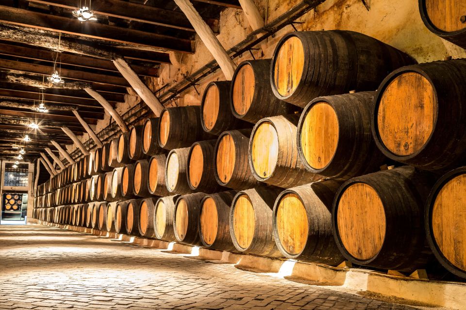 Porto: Tuk-Tuk Tour, Douro River Cruise, and Wine Tasting - Additional Information for Visitors