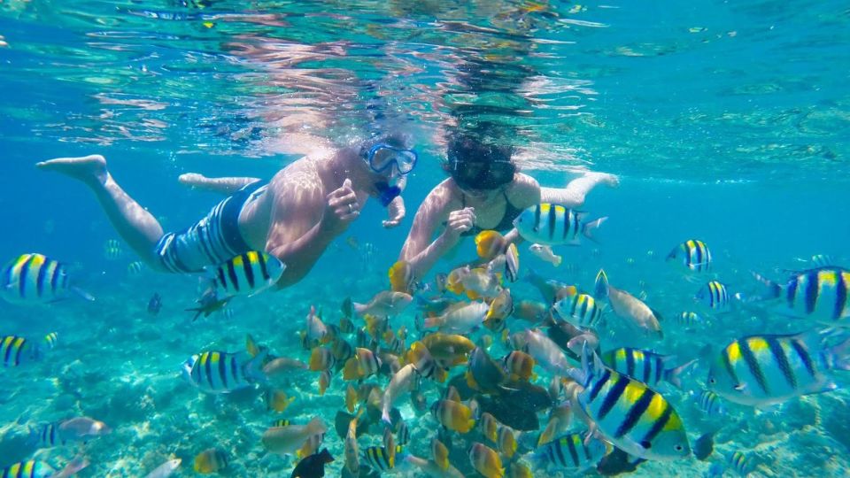 Privat Boat: Snorkelling Around the Gilis With Go Pro - Common questions