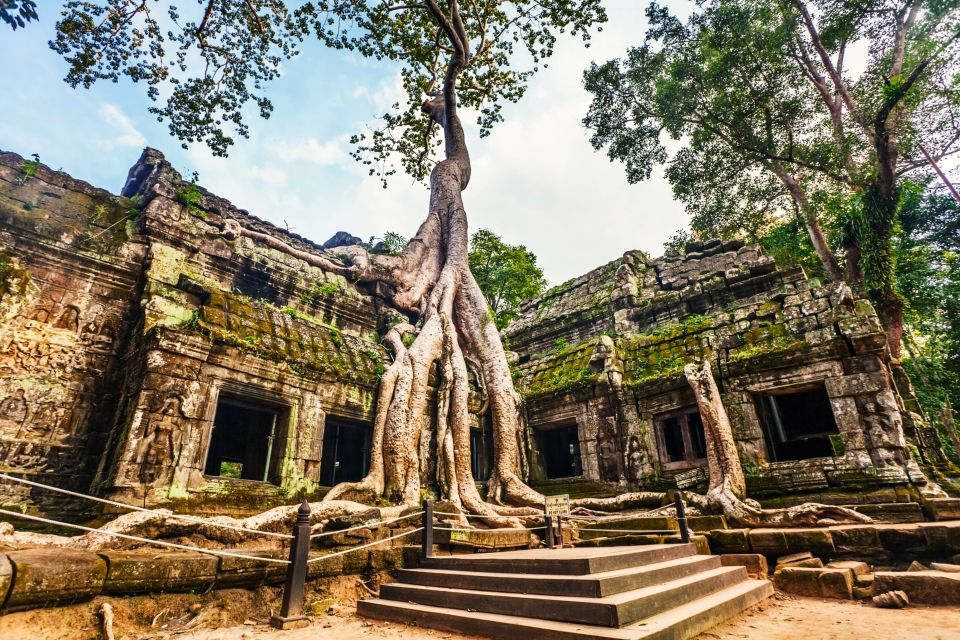 Private Angkor Wat, Ta Promh, Banteay Srei, Bayon Guide Tour - Common questions
