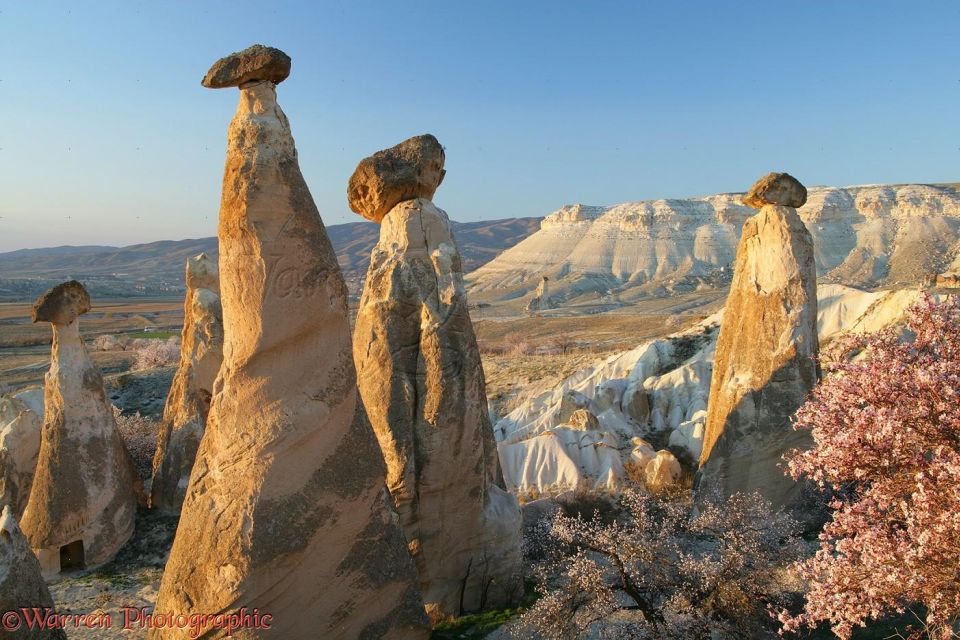 Private Daily Cappadocia Panoramic Tour With Lunch! - Common questions