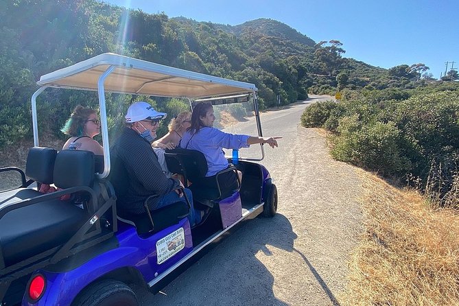 Private Guided Golf Cart Tour of Avalon - Common questions