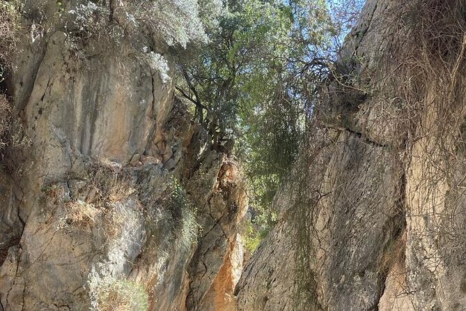 Private Hiking Tour in Imbros Gorge (Chania) - Additional Information