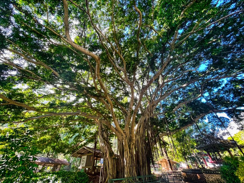 Private Iao Valley/Upcountry VIP Farm Tour- Full Day - Makawao Village Exploration